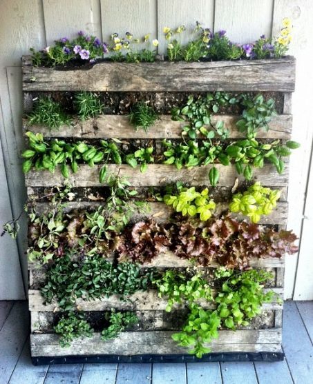 Ideas of Garden Backdrop Styles