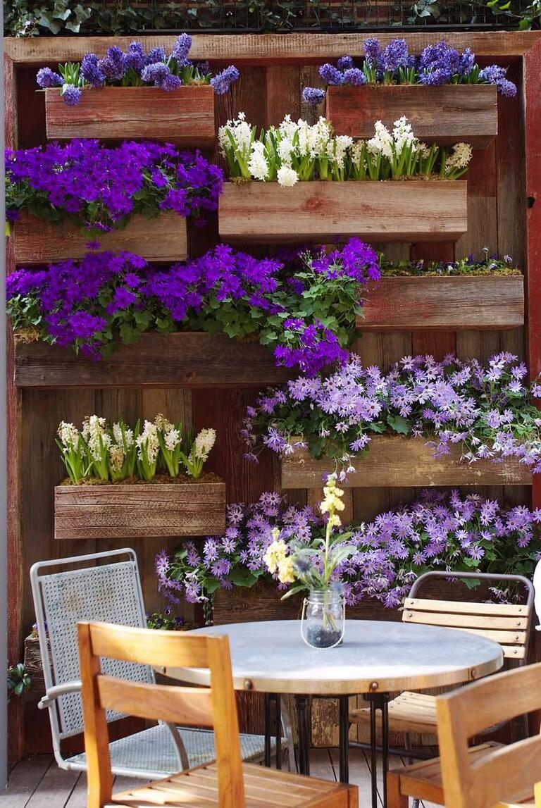 Ideas of Garden Backdrop Styles