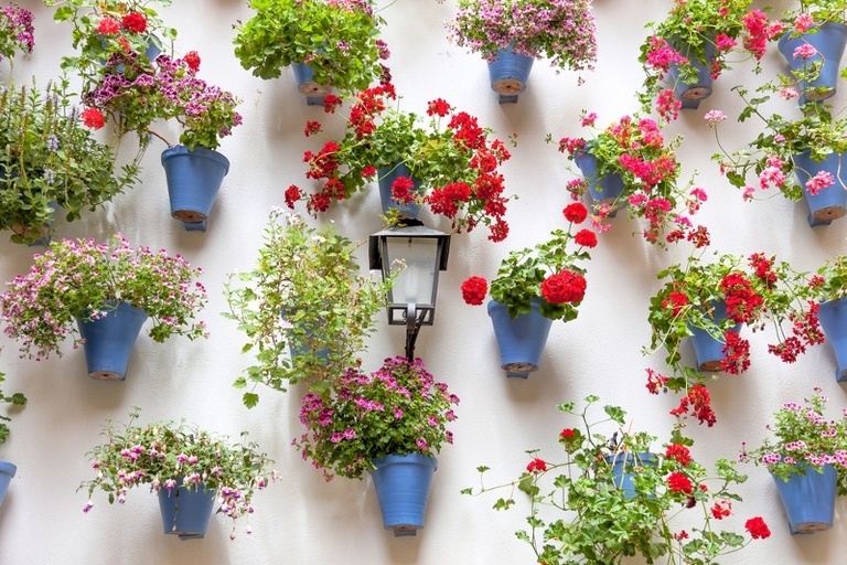 Ideas of Garden Backdrop Styles